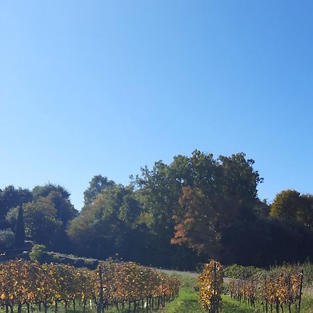 Acero Rosso B&B In Franciacorta แอร์บุสโก ภายนอก รูปภาพ